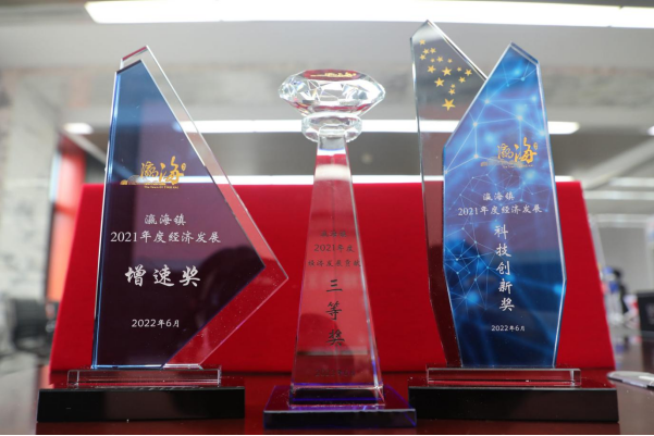 助力經(jīng)濟發(fā)展，美巢集團股份公司獲瀛海鎮(zhèn)經(jīng)濟發(fā)展三項大獎